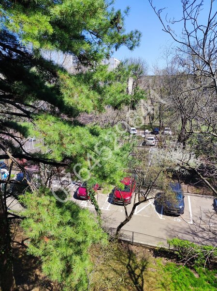 Berceni zona Bd. Brancoveanu-Grand Arena, Str. Dorohoi