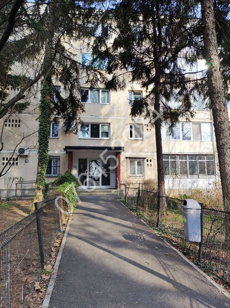 Berceni zona Bd. Brancoveanu-Grand Arena, Str. Dorohoi